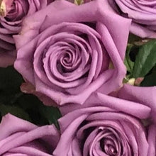 Exquisite Roses + Baby's Breath [Newsletter Exclusive]
