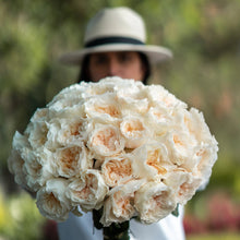 Exquisite Roses + Baby's Breath [Newsletter Exclusive]
